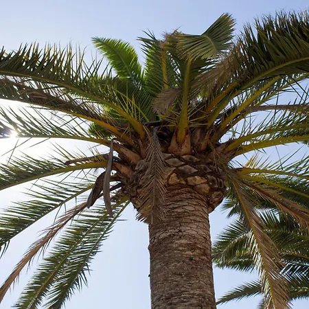 Casa Altavista * Benissa